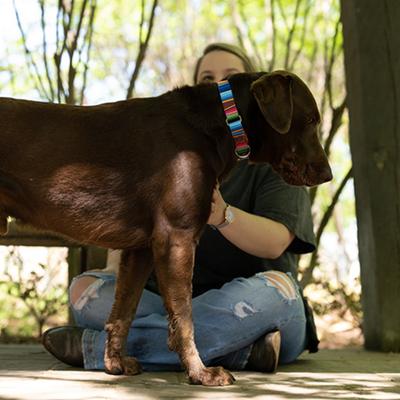 Show full view: Country Brook Petz HossFit Jr Serape Wide Martingale Dog Collar, X-Large, Multi-Colored slide 3 of 9