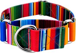 Country Brook Petz HossFit Jr Serape Wide Martingale Dog Collar, Medium, Multi-Colored