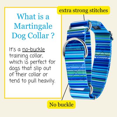 Show full view: Country Brook Petz HossFit Jr Serape Wide Martingale Dog Collar, Large, Blue slide 3 of 8