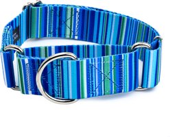 Country Brook Petz HossFit Jr Serape Wide Martingale Dog Collar, Large, Blue