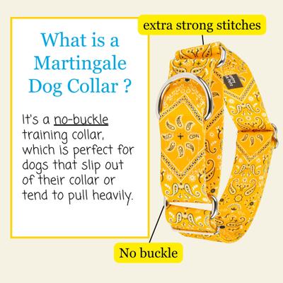 Show full view: Country Brook Petz HossFit Jr Bandana Wide Martingale Dog Collar, Yellow, Medium slide 7 of 10