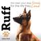 Show in main carousel: RUFF by Lillian Ruff Oatmeal Pet Shampoo, Sandalwood Amber, 16-fl oz bottle slide 6 of 8