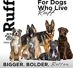 RUFF by Lillian Ruff Activated Charcoal Pet Shampoo, Lemon Sage, 16-fl oz bottle slide 2 of 8