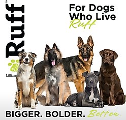 RUFF by Lillian Ruff De-Shedding Pet Shampoo, Coconut Lime, 16-fl oz bottle slide 2 of 8