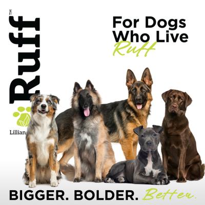 Show full view: RUFF by Lillian Ruff De-Shedding Pet Shampoo, Coconut Lime, 16-fl oz bottle slide 8 of 10