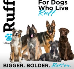 RUFF by Lillian Ruff Oatmeal Pet Conditioner, Sandalwood Coconut, 16-fl oz bottle slide 2 of 8