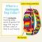 Show in main carousel: Country Brook Petz HossFit Jr Rainbow Hearts Wide Martingale Dog Collar, Medium: 15 to 21-in neck, 1.5-in wide slide 3 of 8
