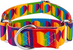 Country Brook Petz HossFit Jr Rainbow Hearts Wide Martingale Dog Collar, Medium: 15 to 21-in neck, 1.5-in wide