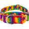 Show in main carousel: Country Brook Petz HossFit Jr Rainbow Hearts Wide Martingale Dog Collar, Medium: 15 to 21-in neck, 1.5-in wide slide 1 of 8
