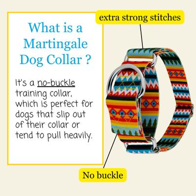 Show full view: Country Brook Petz HossFit Jr Summer Pines Wide Martingale Dog Collar, Multi-Colored, X-Large: 23 to 31-in neck, 1.5-in wide slide 7 of 10