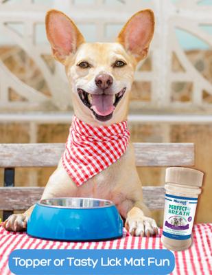 Show full view: MicraVet Perfect Breath Powder Dental Supplement for Dogs, 5-oz jar slide 4 of 6