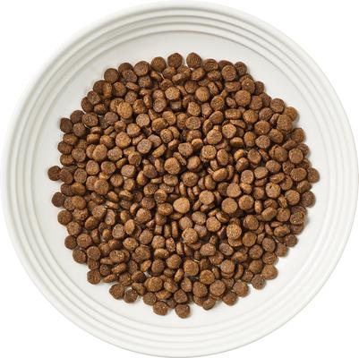 Show full view: Reveal Chicken Recipe Grain-Free Dry Kitten Food, 2.5-lb bag, 5-lb bundle  slide 3 of 9