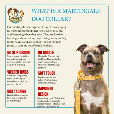 Show full view: Country Brook Petz HossFit Jr Bandana Wide Martingale Dog Collar, Yellow, Medium slide 9 of 10