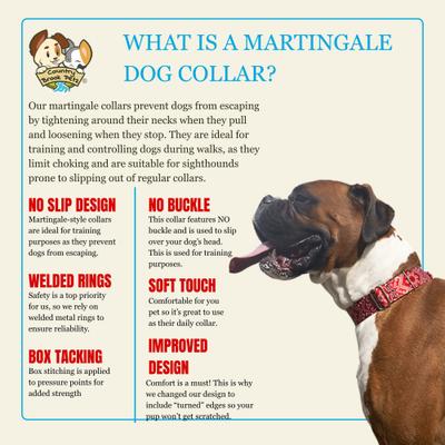 Show full view: Country Brook Petz HossFit Jr Bandana Wide Martingale Dog Collar, Red, Large slide 8 of 9