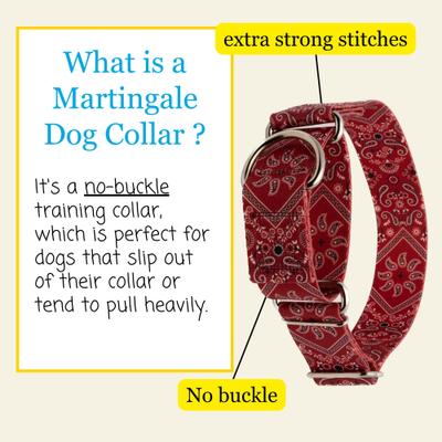Show full view: Country Brook Petz HossFit Jr Bandana Wide Martingale Dog Collar, Red, Large slide 6 of 9