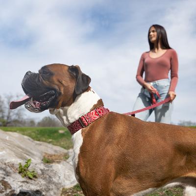 Show full view: Country Brook Petz HossFit Jr Bandana Wide Martingale Dog Collar, Red, Large slide 3 of 9