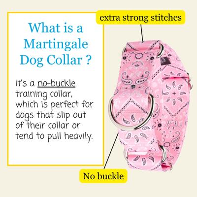 Show full view: Country Brook Petz HossFit Jr Bandana Wide Martingale Dog Collar, Pink, Medium slide 6 of 9