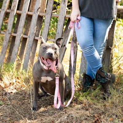 Show full view: Country Brook Petz HossFit Jr Bandana Wide Martingale Dog Collar, Pink, Medium slide 3 of 9
