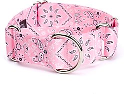 Country Brook Petz HossFit Jr Bandana Wide Martingale Dog Collar, Pink, Large