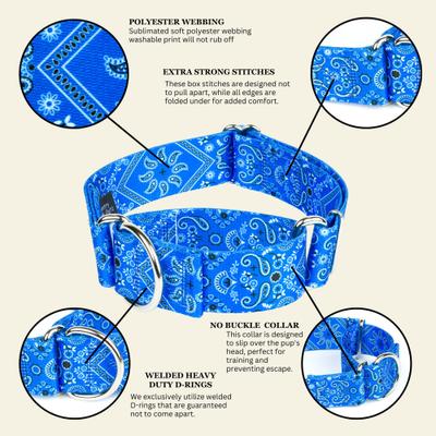 Show full view: Country Brook Petz HossFit Jr Bandana Wide Martingale Dog Collar, Blue, Medium slide 6 of 8