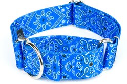 Country Brook Petz HossFit Jr Bandana Wide Martingale Dog Collar, Blue, Medium