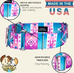 Country Brook Petz HossFit Jr Albequerque Wide Martingale Dog Collar, Large slide 2 of 8