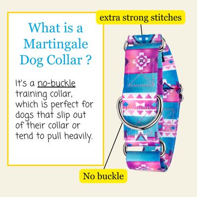 Show full view: Country Brook Petz HossFit Jr Albequerque Wide Martingale Dog Collar, Medium: 15 to 21-in neck, 1.5-in wide slide 4 of 9