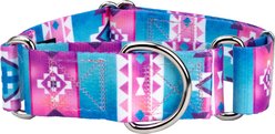 Country Brook Petz HossFit Jr Albequerque Wide Martingale Dog Collar, X-Large