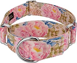 Country Brook Petz HossFit Jr Watercolor Peonies Wide Martingale Dog Collar, Pink, Medium: 15 to 21-in neck, 1.5-in wide