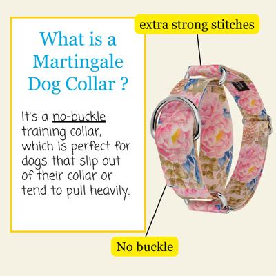 Show full view: Country Brook Petz HossFit Jr Watercolor Peonies Wide Martingale Dog Collar, Pink, Medium: 15 to 21-in neck, 1.5-in wide slide 3 of 8
