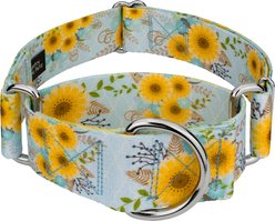 Country Brook Petz HossFit Jr Sunny Days Wide Martingale Dog Collar, Blue, Medium: 15 to 21-in neck, 1.5-in wide