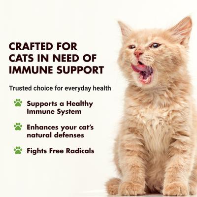 Show full view: Liquid-Vet Feline Immune Booster Unflavored Liquid Supplement for Cats, 8-fl oz bottle slide 3 of 9
