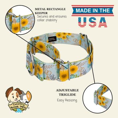 Show full view: Country Brook Petz HossFit Jr Sunny Days Wide Martingale Dog Collar, Blue, X-Large: 23 to 31-in neck, 1.5-in wide slide 7 of 8
