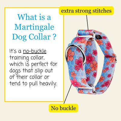 Show full view: Country Brook Petz HossFit Jr April Blossoms Wide Martingale Dog Collar, Blue, Medium slide 7 of 10