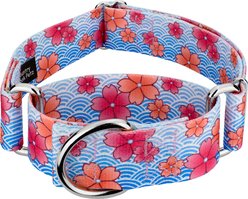 Country Brook Petz HossFit Jr April Blossoms Wide Martingale Dog Collar, Blue, Medium