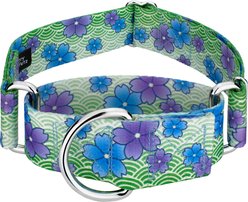 Country Brook Petz HossFit Jr April Blossoms Wide Martingale Dog Collar, Large, Green