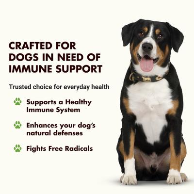 Show full view: Liquid-Vet K9 Immune Booster Unflavored Liquid Supplement for Dogs, 32-fl oz bottle slide 3 of 9