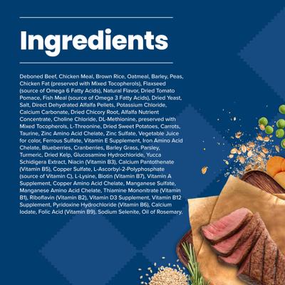 Blue Buffalo Life Protection Formula Adult Beef & Brown Rice Recipe Dry Dog Food