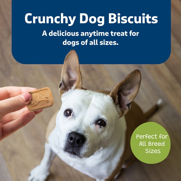 Show full view: Blue Buffalo Health Bars Apple & Yogurt Mini Dog Treats, 2-lb box slide 5 of 11