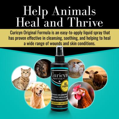 Show full view: Curicyn Original Wound & Skin Care Formula Spray for Dogs, 8-fl oz bottle slide 5 of 7