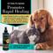 Show in main carousel: Curicyn Original Wound & Skin Care Formula Spray for Dogs, 8-fl oz bottle slide 3 of 7