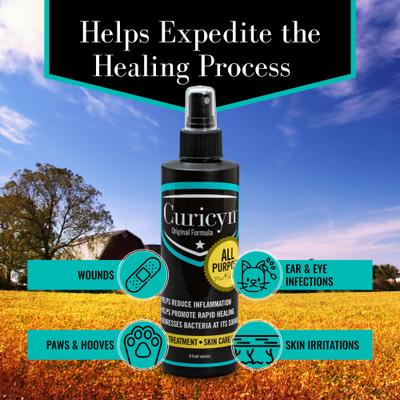 Show full view: Curicyn Original Wound & Skin Care Formula Spray for Dogs, 8-fl oz bottle slide 4 of 7