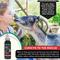 Show in main carousel: Curicyn Hot Spot Formula for Dogs, 3-fl oz bottle slide 5 of 8