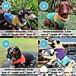 Show in main carousel: Gooby Fleece Two Tone Dog Vest, Blue, X-Large slide 4 of 4