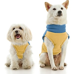 Both Tails Sunset Long Sleeve Dog Sweater