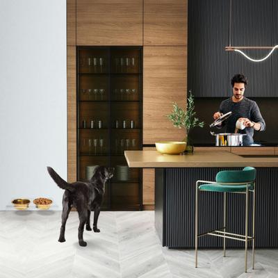 Show full view: Hiddin Clear Slant Double Dog Bowl, Gold, Medium slide 4 of 8