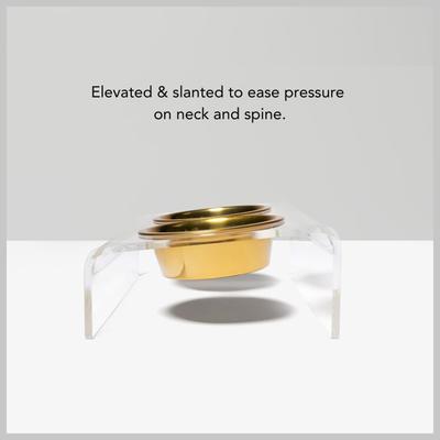 Show full view: Hiddin Clear Slant Double Dog Bowl, Gold, Medium slide 5 of 8