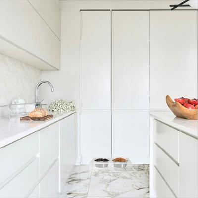 Show full view: Hiddin Clear Slant Double Dog Bowl, Silver, Small slide 3 of 7