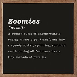 Kendrick Zoomies Definition Wall Décor, Black, 4 x 4-in slide 2 of 3