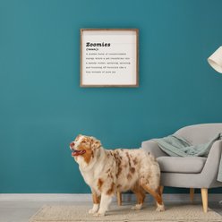 Kendrick Zoomies Definition Wall Décor, White, 24 x 24-in slide 2 of 3